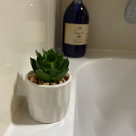 Apartmán Dar Brašov