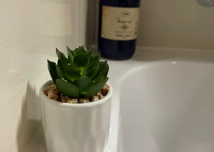 Apartment Dar Brasov